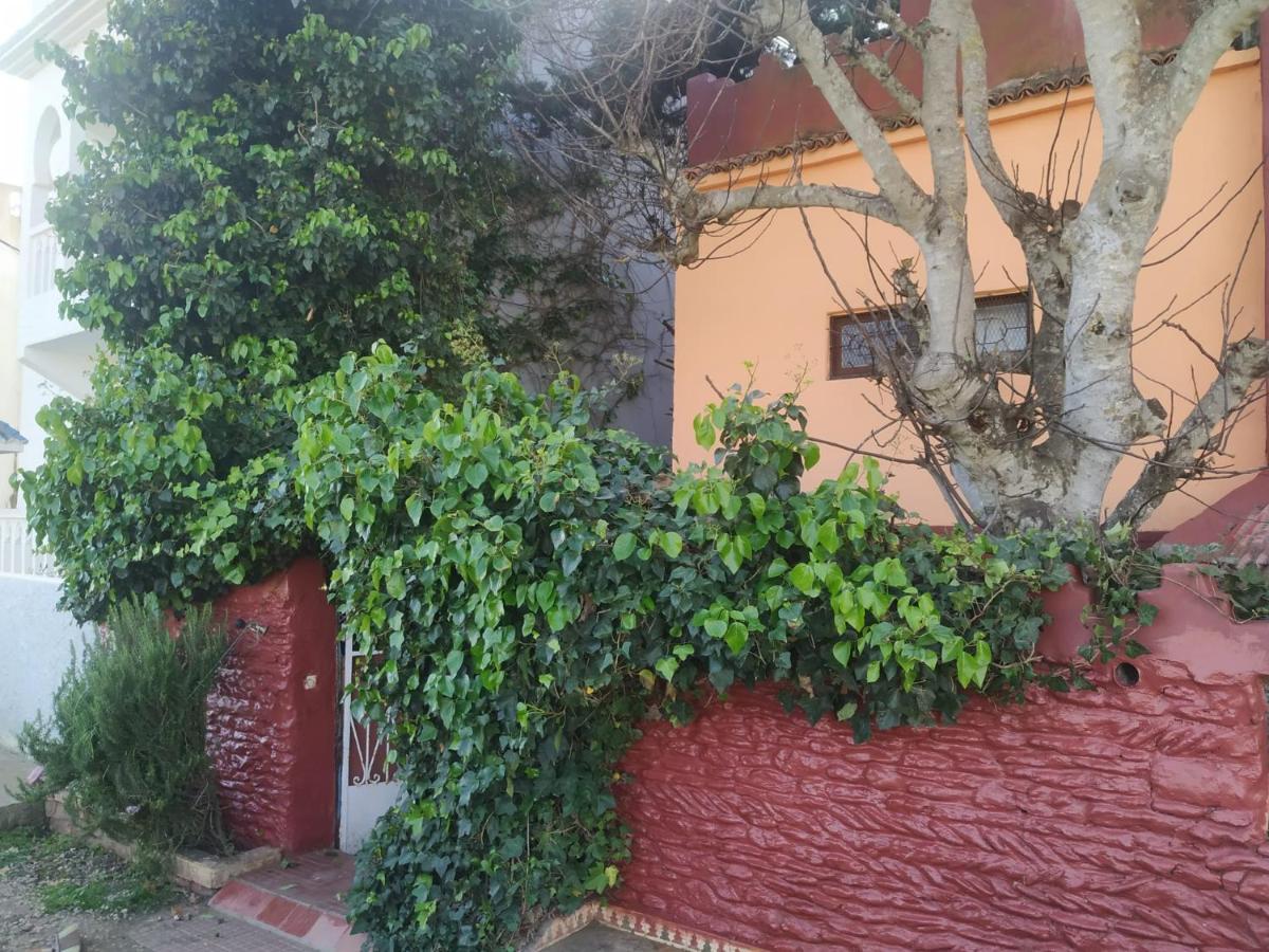 Dar El Pirata Hostel アシラー エクステリア 写真