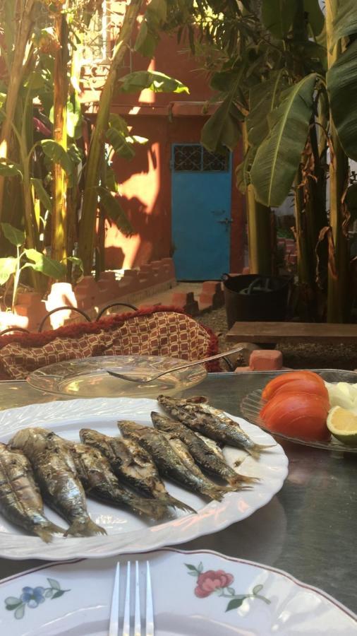Dar El Pirata Hostel アシラー エクステリア 写真